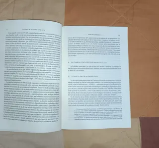 Sistema de Derecho Civil Volumen IV