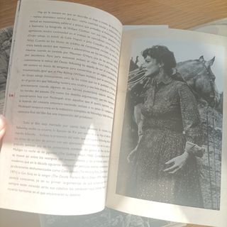 Compañeros mortales. Sam Peckinpah