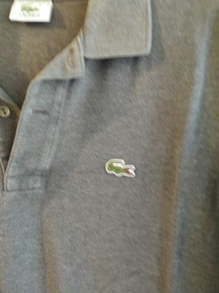 Polo uomo lacoste