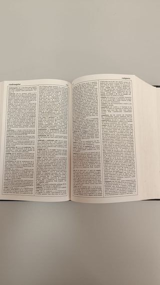 Diccionario Lengua española