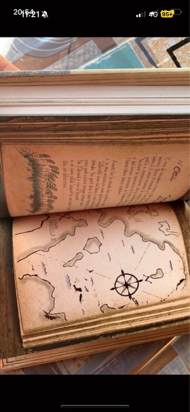 Capitan Grisam e l'amore. Fairy Oak