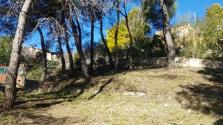 Jardinero económico