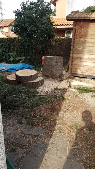 Jardinero económico