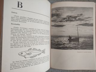 La pesca en el mar - Colección Herakles