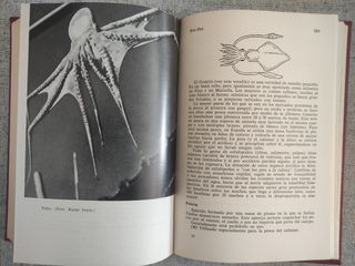 La pesca en el mar - Colección Herakles