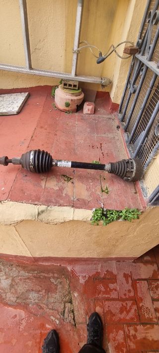 Trasmisión palie audi seat Wolfgang  