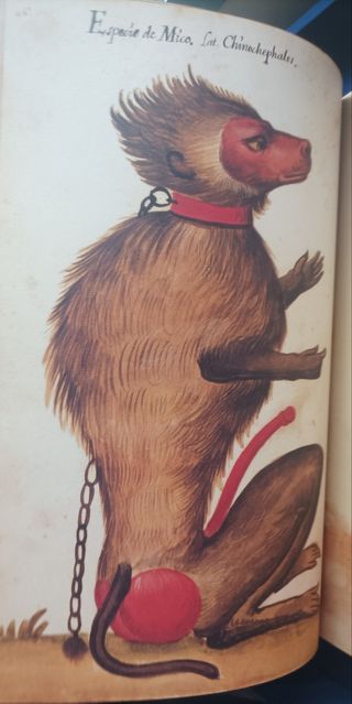 Atlas de historia natural