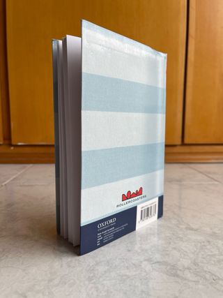 ROLLERCOASTERS:BOY IN STRIPED RDR