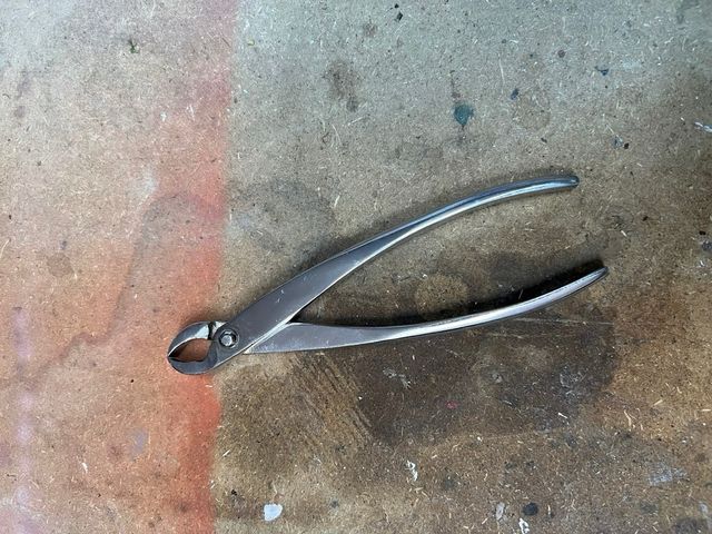 Set di attrezzi per bonsai