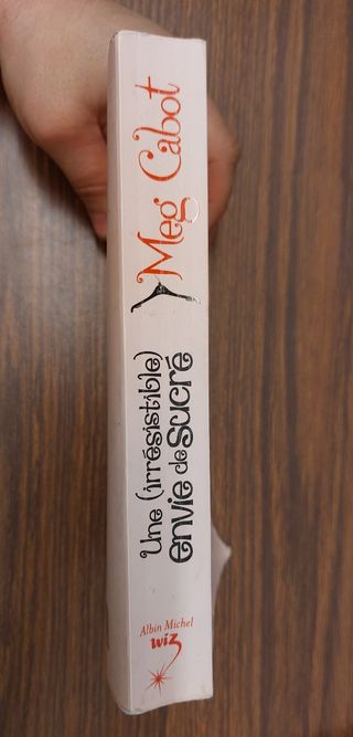 Une (Irresistible) Envie de Sucre (French Edition)