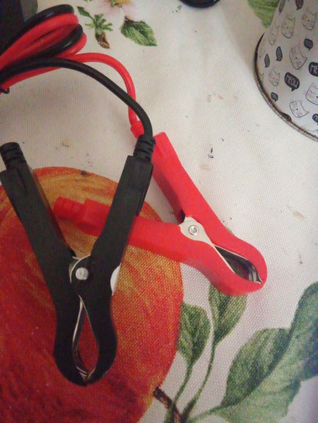 Cargador batería coche moto 12