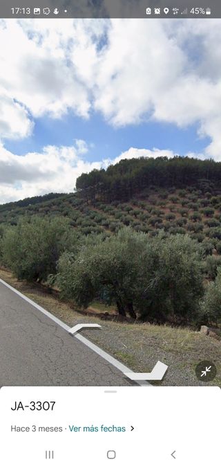 Terreno para finca y olivar en Alcaudete