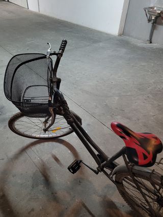 Bicicleta de paseo