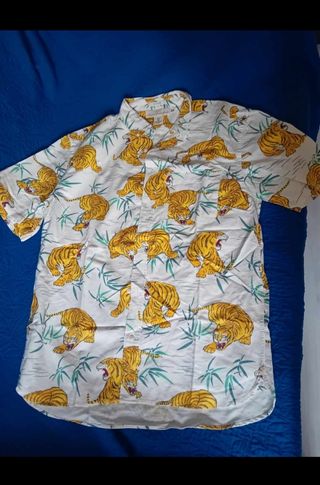 Camicia uomo