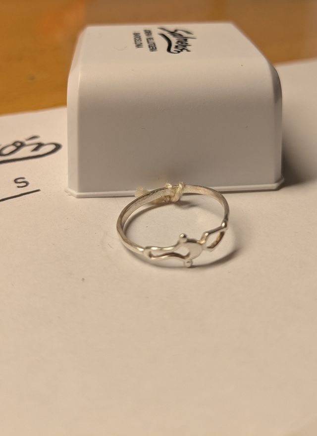 Anillo Fino y Sutil de Plata