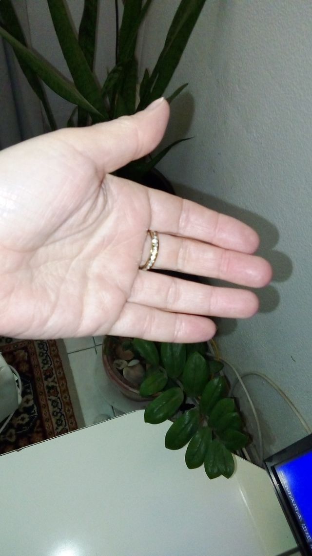 Conjunto de anel e pingente 