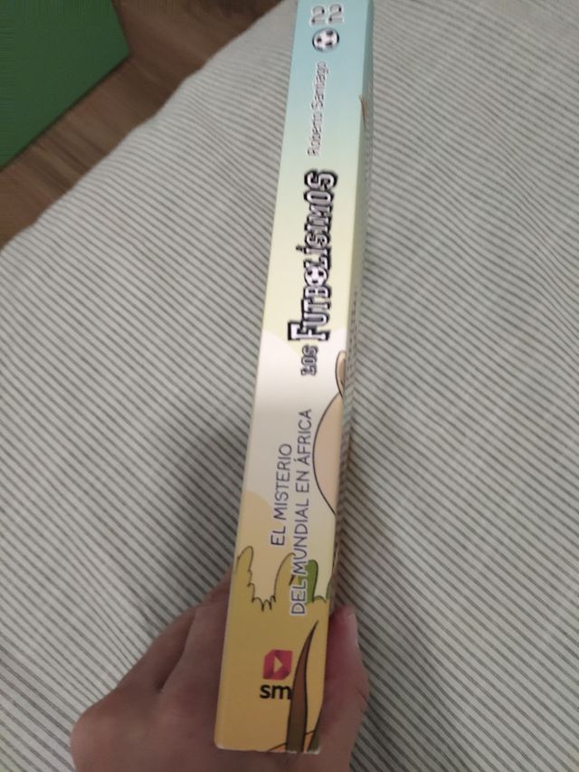 El misterio del mundial en África