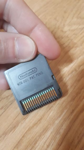 nintendo ds nintendogs