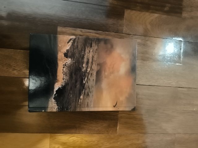 Secret Academy 1. La isla Fenix (Spanish Edition)