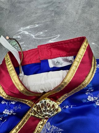 Carnavale Disney Moulan