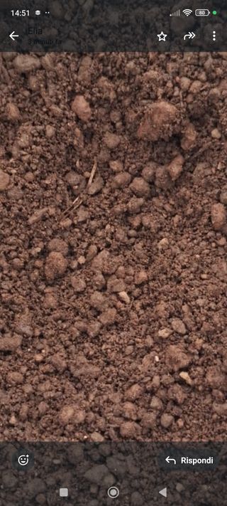 Terriccio fertilizzato