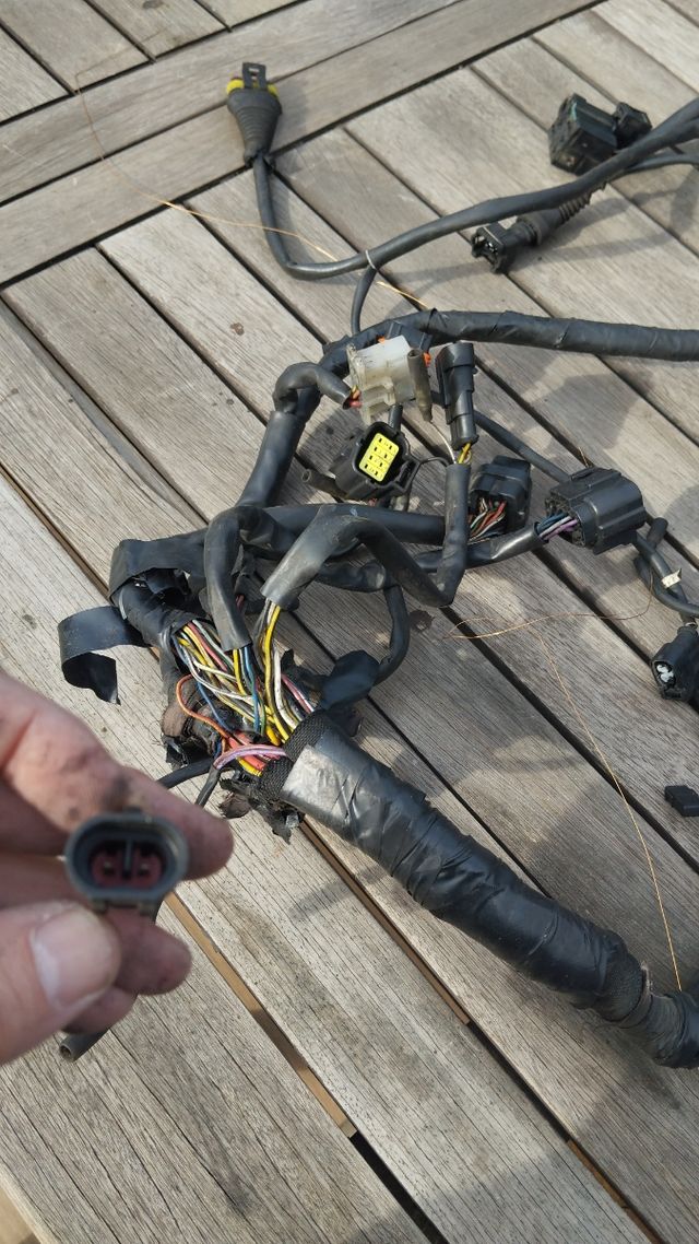 Cableado eléctrico Monster 695