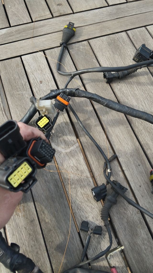 Cableado eléctrico Monster 695