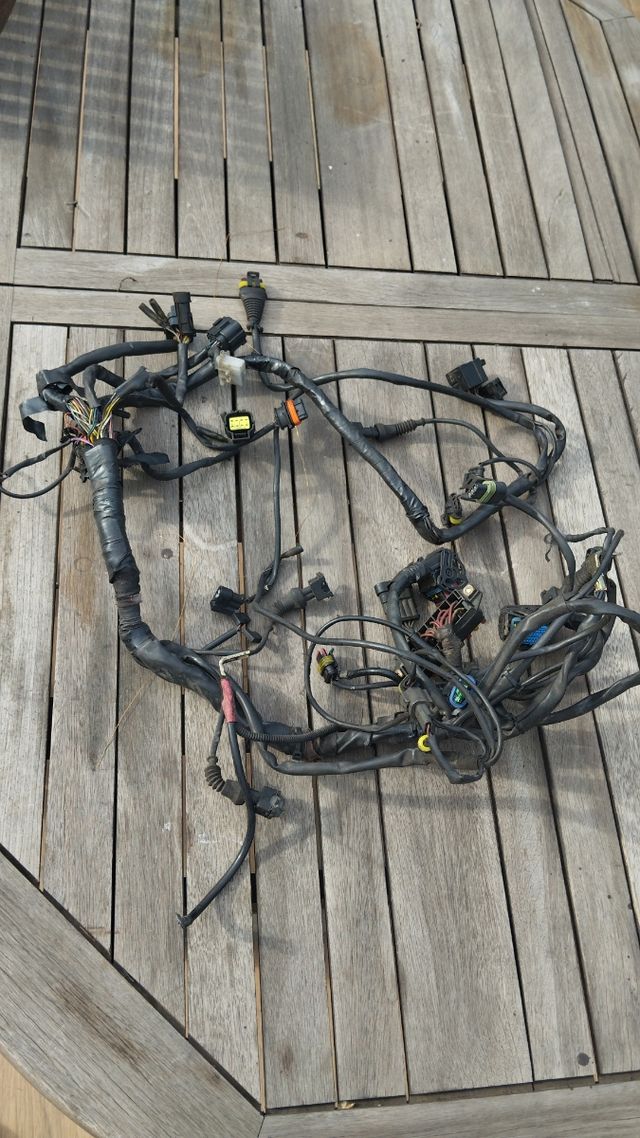 Cableado eléctrico Monster 695