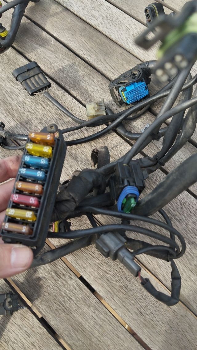 Cableado eléctrico Monster 695
