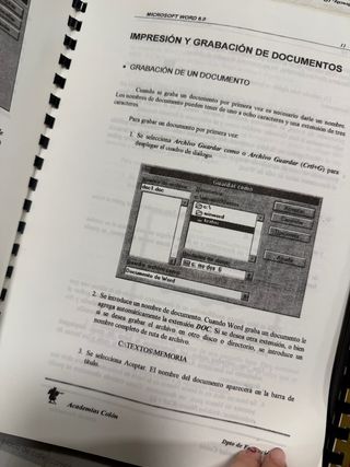 Pack Microsoft Word y Access