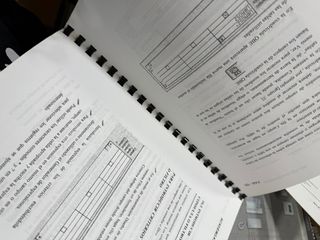 Pack Microsoft Word y Access