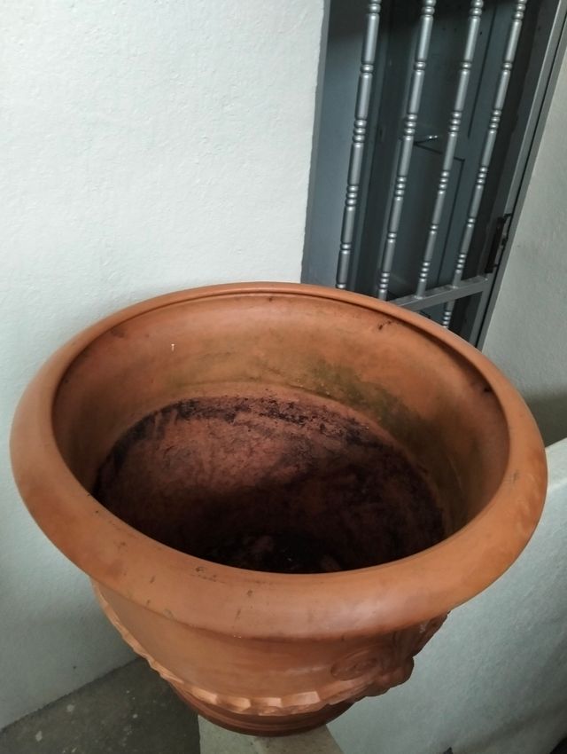 Maceta de barro grande