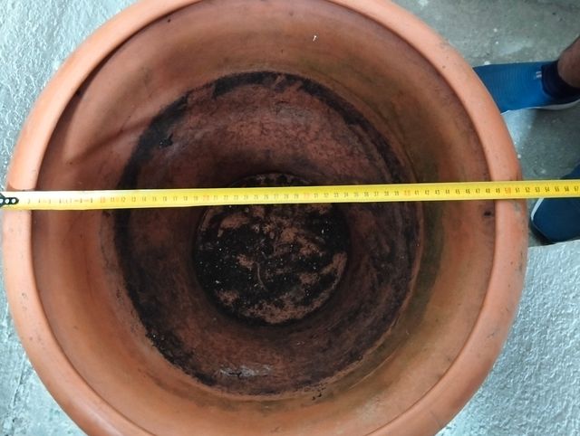 Maceta de barro grande