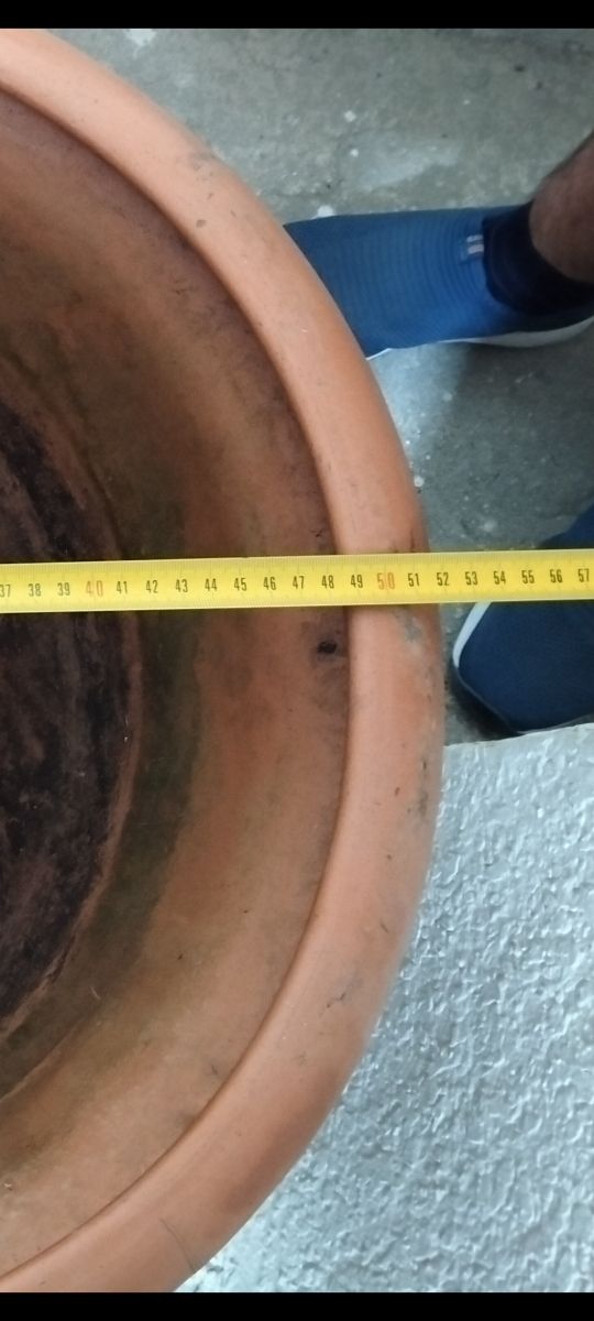 Maceta de barro grande