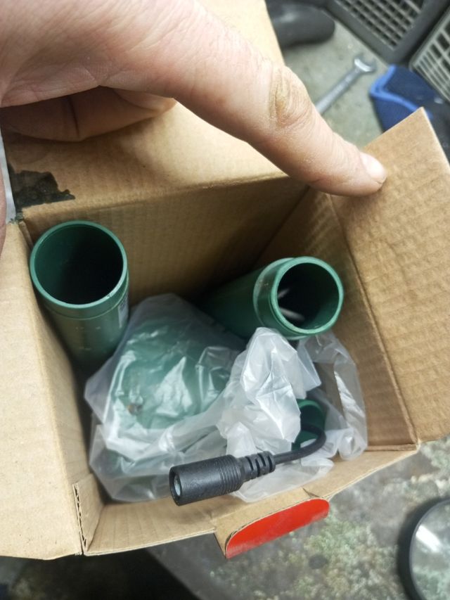 Caccia talpe e roditori