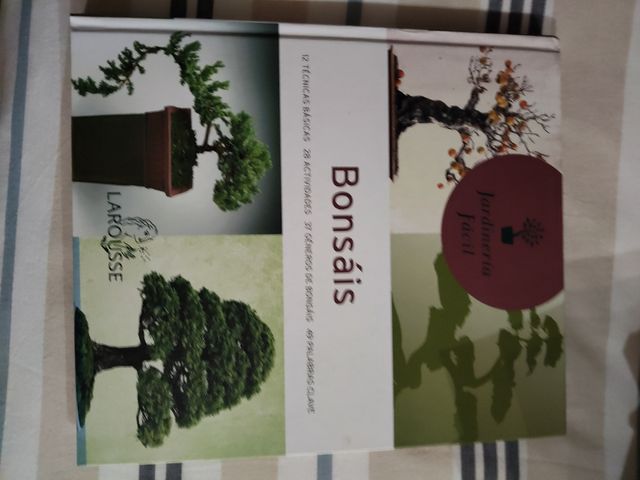 Bonsais (Jardineria Facil/ Easy Gardening) (Spanish Edition)