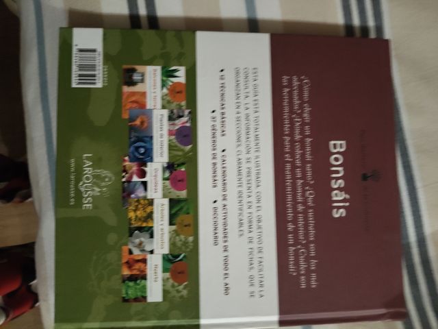 Bonsais (Jardineria Facil/ Easy Gardening) (Spanish Edition)