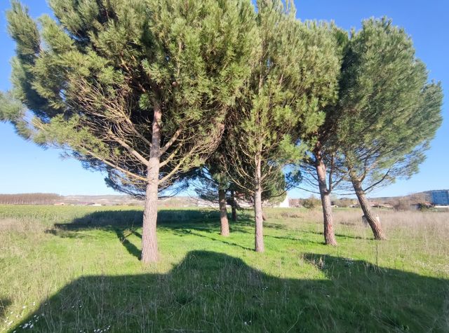 Finca urbanizable en Husillos, Palencia