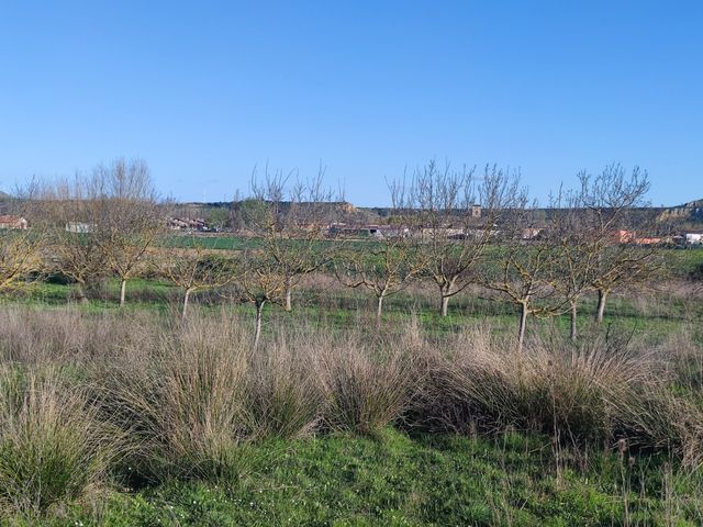 Finca urbanizable en Husillos, Palencia