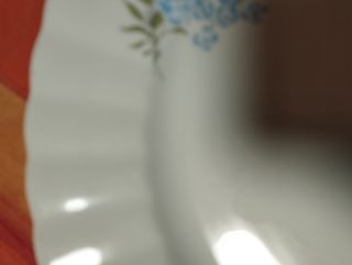 Piatto porcellana decorata Jlmenau