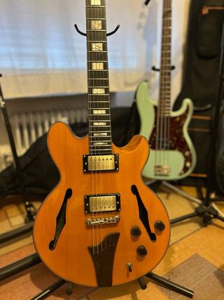 Clases de chelo guitarra bajo y ukelele