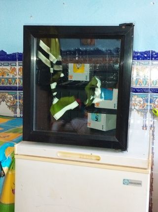 Vinoteca,nevera para vino