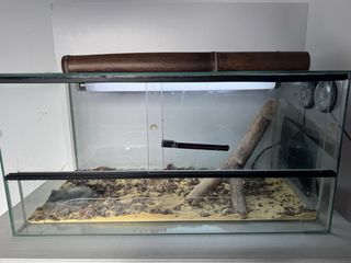 TERRARIO PARA REPTILES