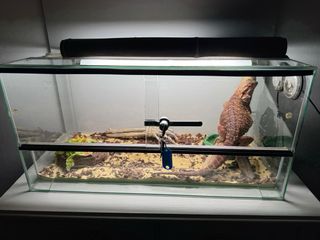 TERRARIO PARA REPTILES