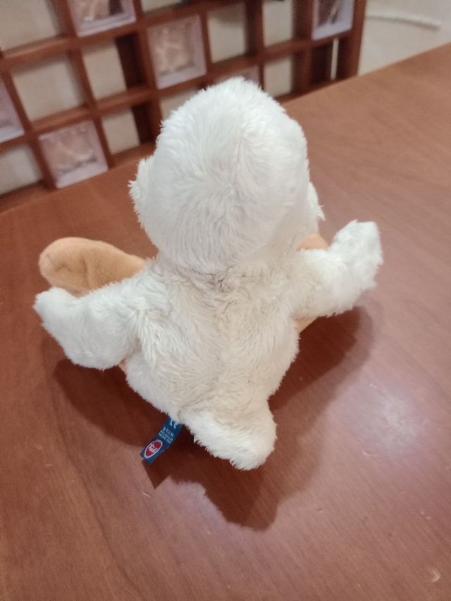 Anatroccolo I BUSSI di TRUDI