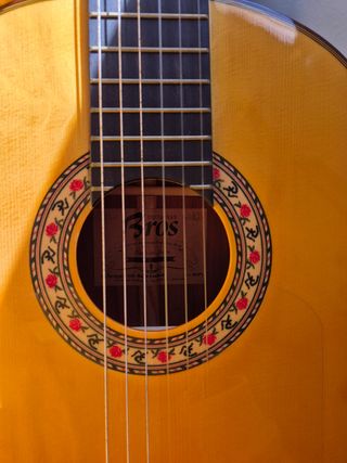 Guitarra Bros Buleria Especial y funda