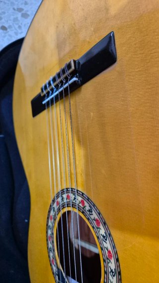 Guitarra Bros Buleria Especial y funda