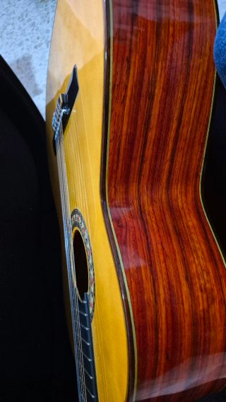 Guitarra Bros Buleria Especial y funda