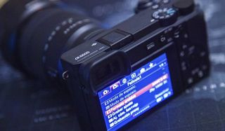 Sony a6600 apsc