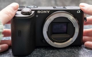 Sony a6600 apsc